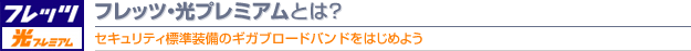 フレッツ・光プレミアムとは?